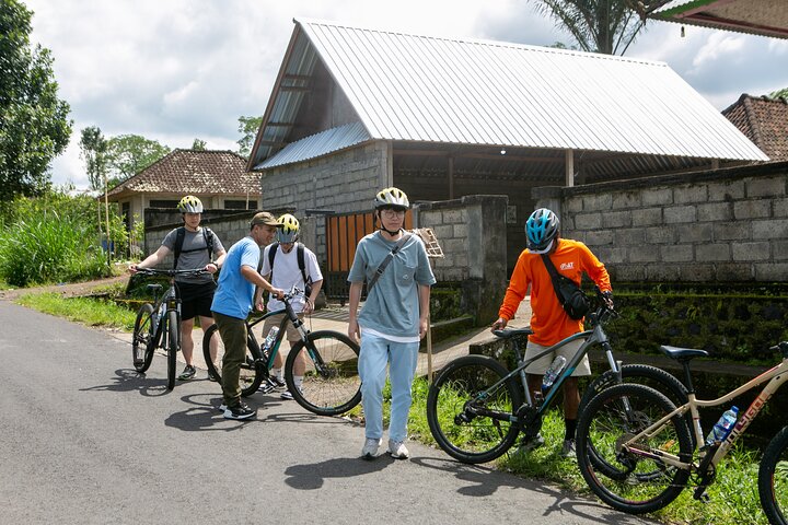 Sykkeltur nedover i Ubud, Bali, som viser vulkan, risterrasser og lokal kultur, foto 12 | wizardtrip