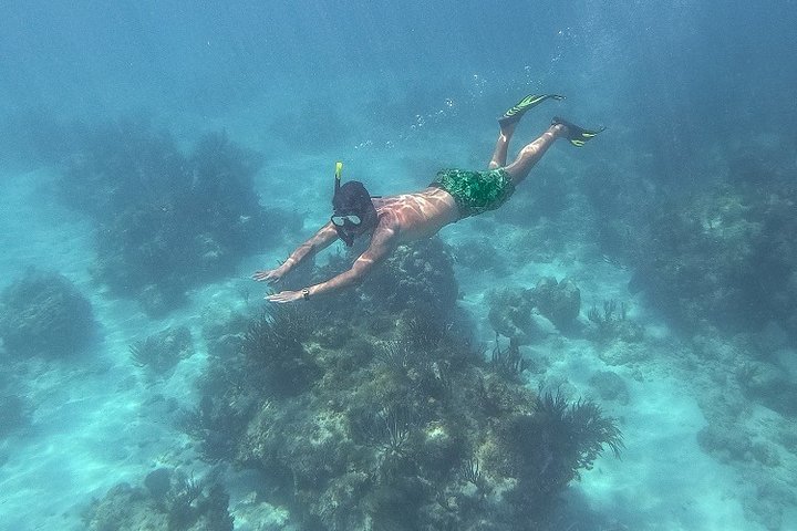 Crociera in catamarano all'isola di Icacos, Porto Rico, con snorkeling e attività balneari, foto 6 | wizardtrip