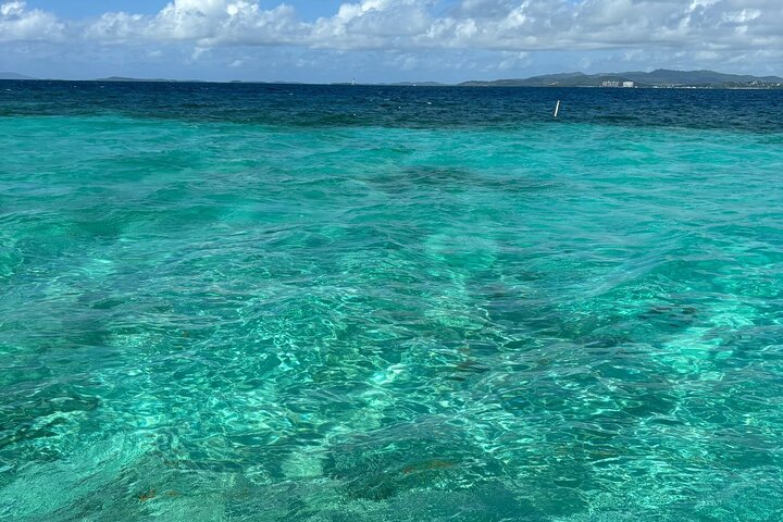 Crociera in catamarano all'isola di Icacos, Porto Rico, con snorkeling e attività balneari, foto 12 | wizardtrip