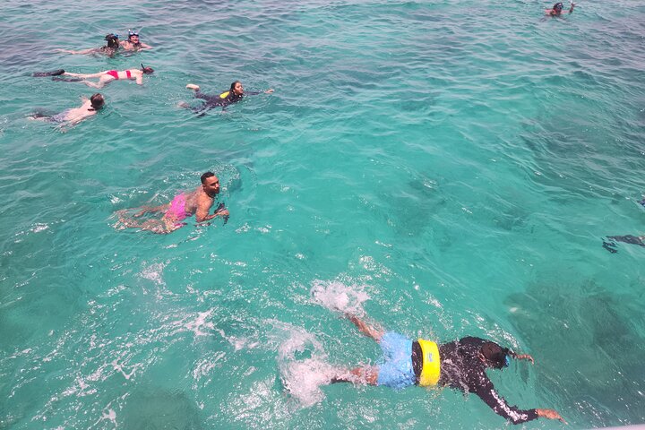 Crociera in catamarano all'isola di Icacos, Porto Rico, con snorkeling e attività balneari, foto 15 | wizardtrip