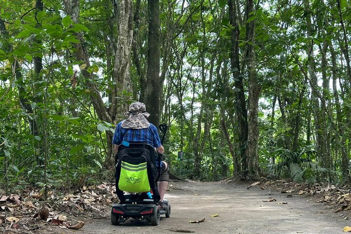 Visite guidée des paresseux dans la forêt tropicale de La Fortuna, Costa Rica, avec observation de la faune, photo 19 | wizardtrip