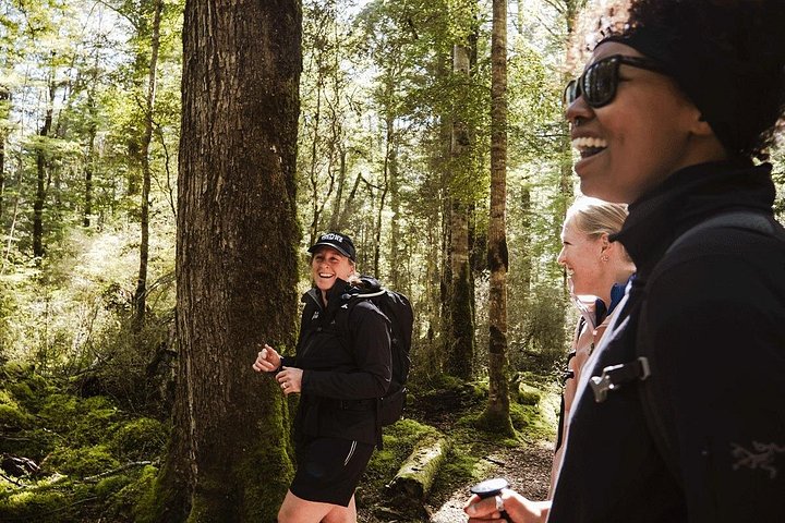 Kleingruppentour zum Milford Sound von Te Anau, mit malerischer Kreuzfahrt und Fiordland National Park, Foto 11 | wizardtrip