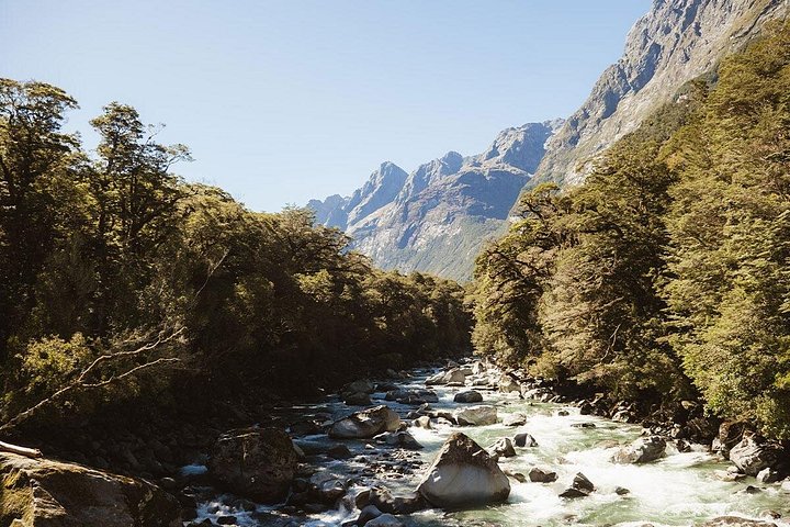 Kleingruppentour zum Milford Sound von Te Anau, mit malerischer Kreuzfahrt und Fiordland National Park, Foto 21 | wizardtrip
