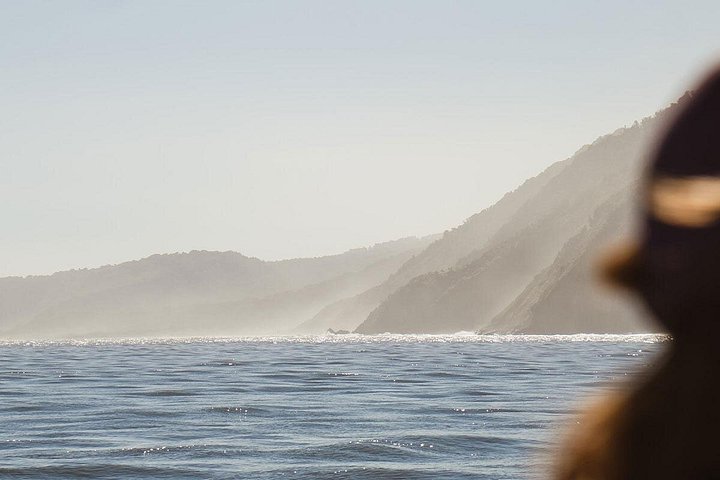 Kleingruppentour zum Milford Sound von Te Anau, mit malerischer Kreuzfahrt und Fiordland National Park, Foto 25 | wizardtrip