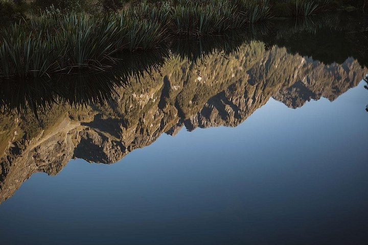 Kleingruppentour zum Milford Sound von Te Anau, mit malerischer Kreuzfahrt und Fiordland National Park, Foto 26 | wizardtrip