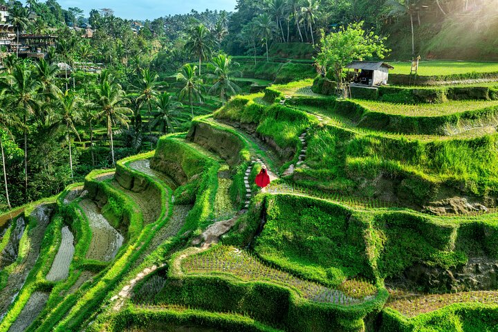 Privé dagtrip die de culturele bezienswaardigheden, rijstterrassen en watervallen van Ubud op Bali verkent, foto 9 | wizardtrip