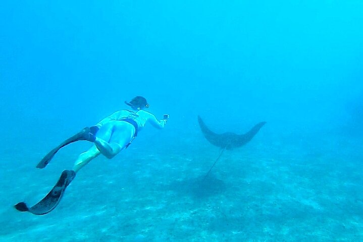 Guidad snorkeltur vid Phil Foster Park, West Palm Beach, som visar marint liv och korallrev, foto 11 | wizardtrip