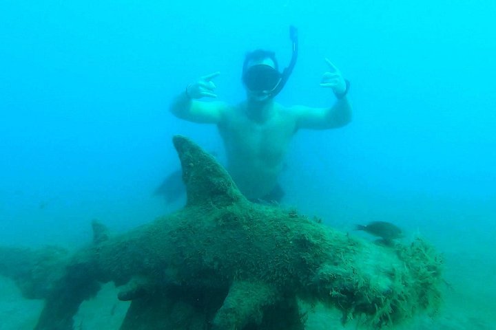 Guidad snorkeltur vid Phil Foster Park, West Palm Beach, som visar marint liv och korallrev, foto 16 | wizardtrip