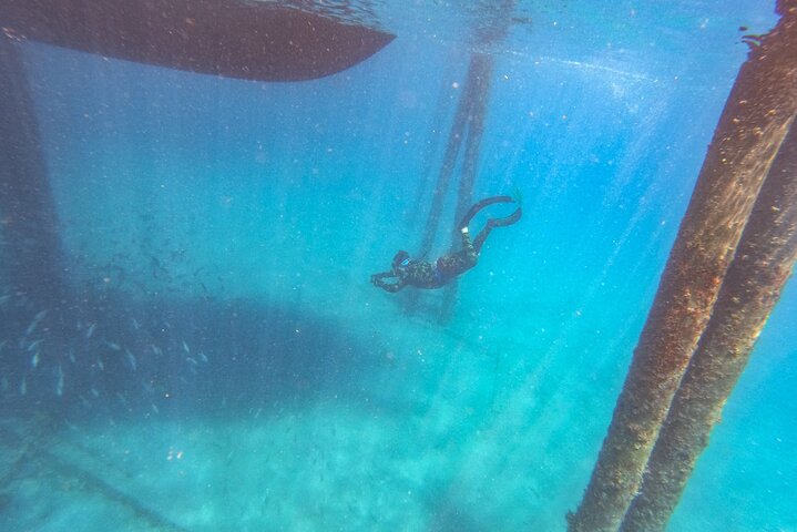 Guidad snorkeltur vid Phil Foster Park, West Palm Beach, som visar marint liv och korallrev, foto 21 | wizardtrip