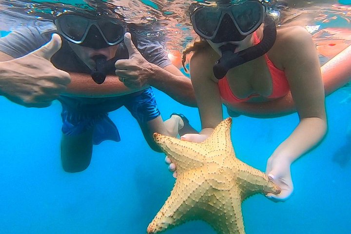 Guidad snorkeltur vid Phil Foster Park, West Palm Beach, som visar marint liv och korallrev, foto 26 | wizardtrip