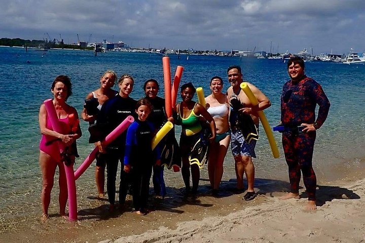 Guidad snorkeltur vid Phil Foster Park, West Palm Beach, som visar marint liv och korallrev, foto 32 | wizardtrip