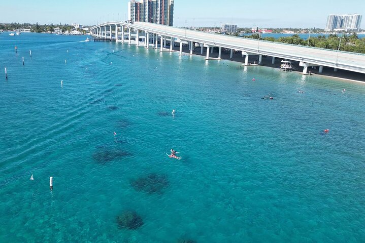 Guidad snorkeltur vid Phil Foster Park, West Palm Beach, som visar marint liv och korallrev, foto 33 | wizardtrip