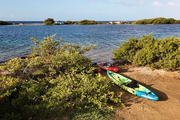 Kajak-Abenteuer zur Sea Glass Island in Aruba, Sammeln von buntem Seeglas, Foto 10 | wizardtrip