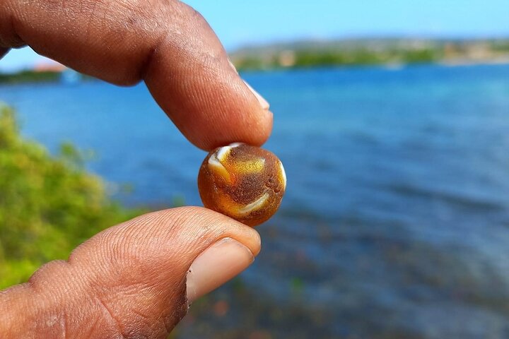Kajak-Abenteuer zur Sea Glass Island in Aruba, Sammeln von buntem Seeglas, Foto 12 | wizardtrip