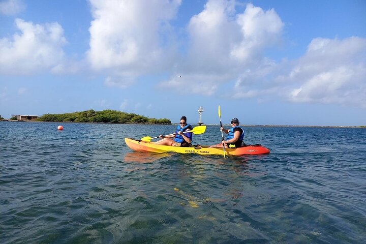 Kajak-Abenteuer zur Sea Glass Island in Aruba, Sammeln von buntem Seeglas, Foto 14 | wizardtrip