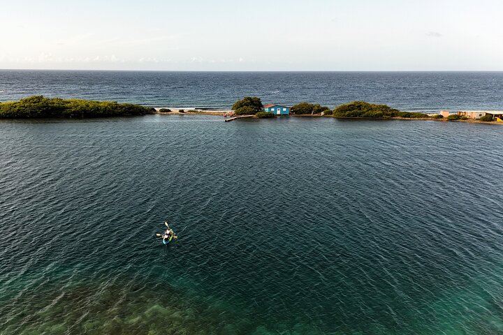 Kajak-Abenteuer zur Sea Glass Island in Aruba, Sammeln von buntem Seeglas, Foto 17 | wizardtrip
