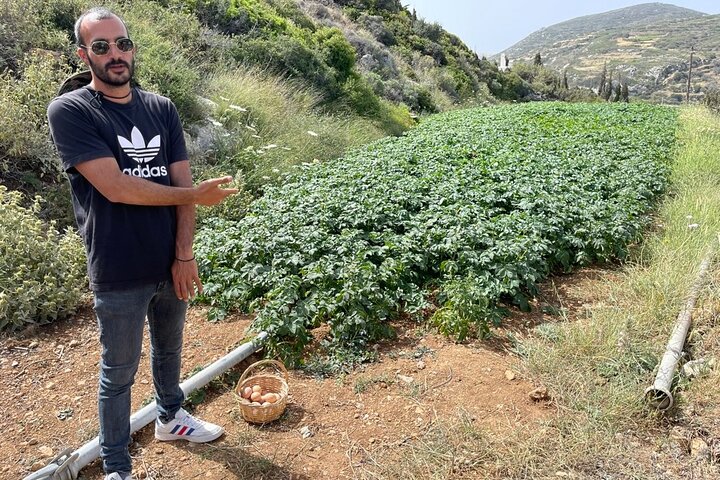 Experiência numa quinta de Naxos com aula de culinária, encontros com animais e degustação de comida local em Naxos, Grécia, foto 7 | wizardtrip