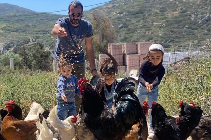 Experiência numa quinta de Naxos com aula de culinária, encontros com animais e degustação de comida local em Naxos, Grécia, foto 9 | wizardtrip