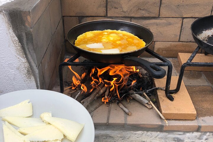 Experiência numa quinta de Naxos com aula de culinária, encontros com animais e degustação de comida local em Naxos, Grécia, foto 10 | wizardtrip