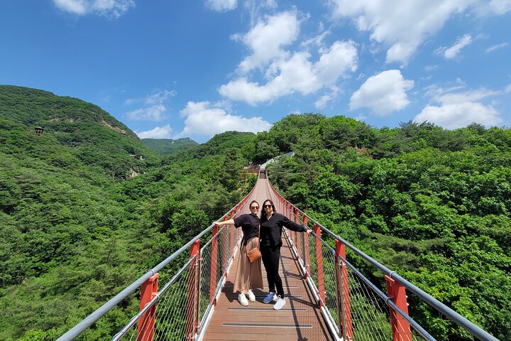 Tour per piccoli gruppi nella DMZ coreana, con il 3° Tunnel, l'Osservatorio Dora e il Ponte Sospeso, foto 11 | wizardtrip