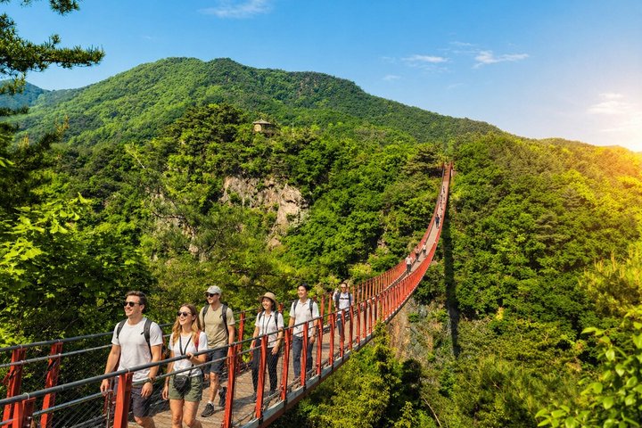 Tour per piccoli gruppi nella DMZ coreana, con il 3° Tunnel, l'Osservatorio Dora e il Ponte Sospeso, foto 13 | wizardtrip