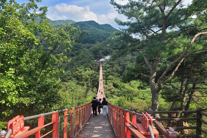 Tour per piccoli gruppi nella DMZ coreana, con il 3° Tunnel, l'Osservatorio Dora e il Ponte Sospeso, foto 15 | wizardtrip