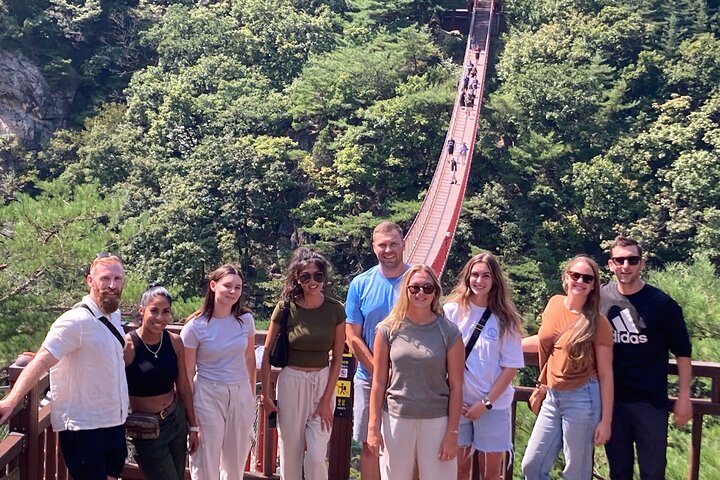 Tour per piccoli gruppi nella DMZ coreana, con il 3° Tunnel, l'Osservatorio Dora e il Ponte Sospeso, foto 19 | wizardtrip