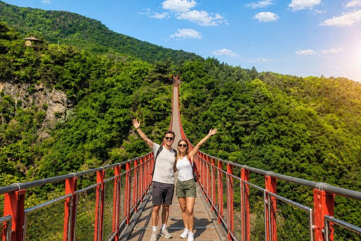 Excursion exclusive en petit groupe dans la DMZ avec prise en charge et retour à l'hôtel | wizardtrip