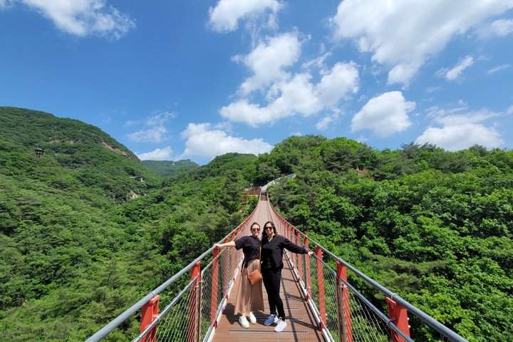 Tour in kleine groep van de Koreaanse DMZ met historische bezienswaardigheden en schilderachtige uitzichten, foto 10 | wizardtrip