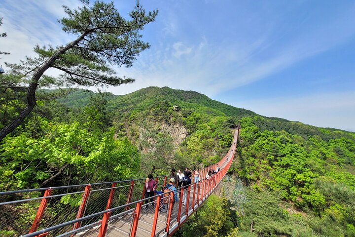Tour in kleine groep van de Koreaanse DMZ met historische bezienswaardigheden en schilderachtige uitzichten, foto 20 | wizardtrip