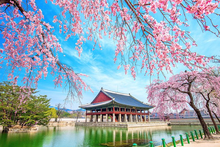 Private, anpassbare Tour zu den Highlights von Seoul, einschließlich Palästen, traditionellen Dörfern und Märkten, Foto 15 | wizardtrip
