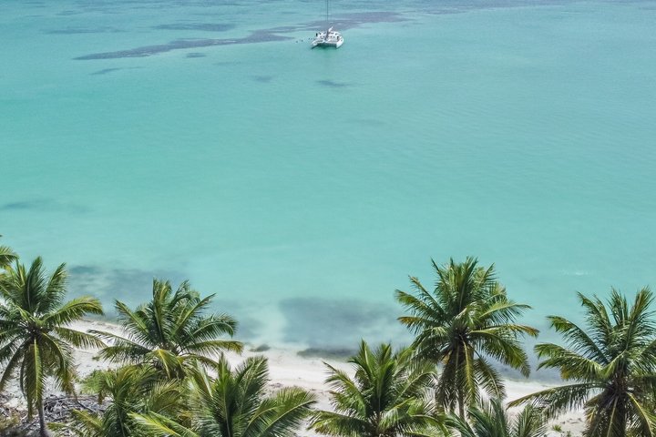 Luksus katamarantur til Saona Island, Dominikanske Republik, med snorkling og strandafslapning, foto 9 | wizardtrip
