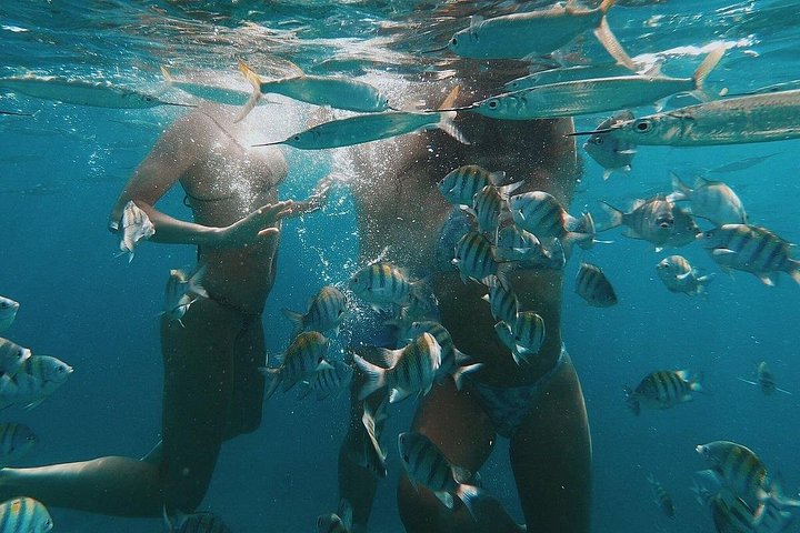 Luxury catamaran sailing and snorkeling tour in Sint Maarten with gourmet lunch and open bar, photo 18 | wizardtrip