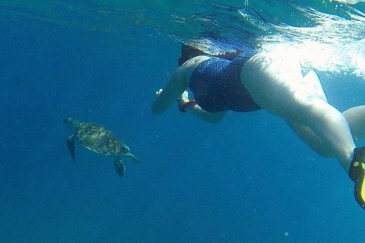 Luxury catamaran sailing and snorkeling tour in Sint Maarten with gourmet lunch and open bar, photo 21 | wizardtrip