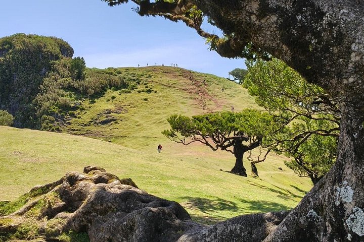 Landschaftliche Tour entlang der Westküste Madeiras mit Wasserfällen, Wäldern und Küstendörfern, Foto 10 | wizardtrip