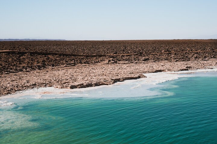 Explore the surreal Baltinache lagoons and the dramatic landscapes of the Atacama Desert on a guided tour, photo 10 | wizardtrip