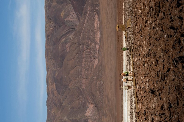 Explore the surreal Baltinache lagoons and the dramatic landscapes of the Atacama Desert on a guided tour, photo 13 | wizardtrip