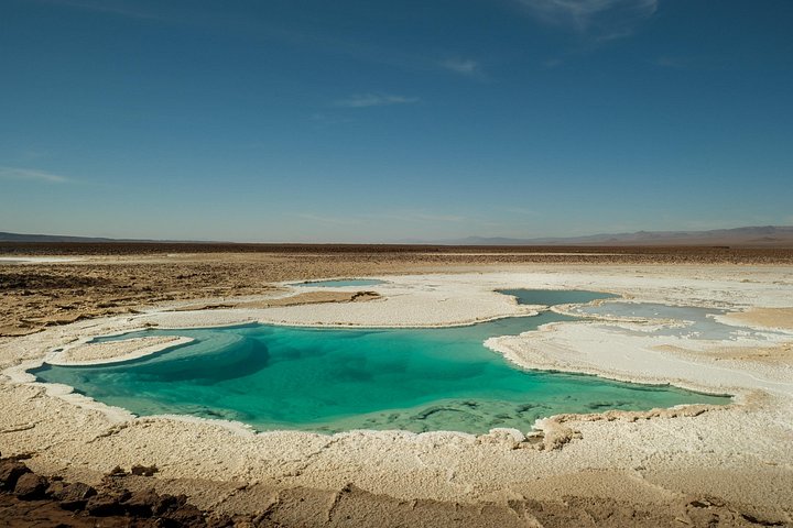 Explore the surreal Baltinache lagoons and the dramatic landscapes of the Atacama Desert on a guided tour, photo 14 | wizardtrip