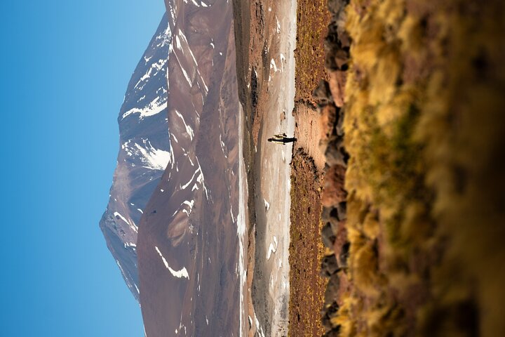 Tour de día completo en San Pedro de Atacama visitando Piedras Rojas, Lagunas Altiplánicas y Laguna Chaxa, foto 6 | wizardtrip