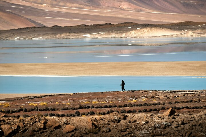 Tour de día completo en San Pedro de Atacama visitando Piedras Rojas, Lagunas Altiplánicas y Laguna Chaxa, foto 9 | wizardtrip