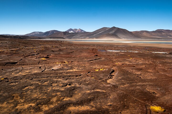 Tour de día completo en San Pedro de Atacama visitando Piedras Rojas, Lagunas Altiplánicas y Laguna Chaxa, foto 18 | wizardtrip