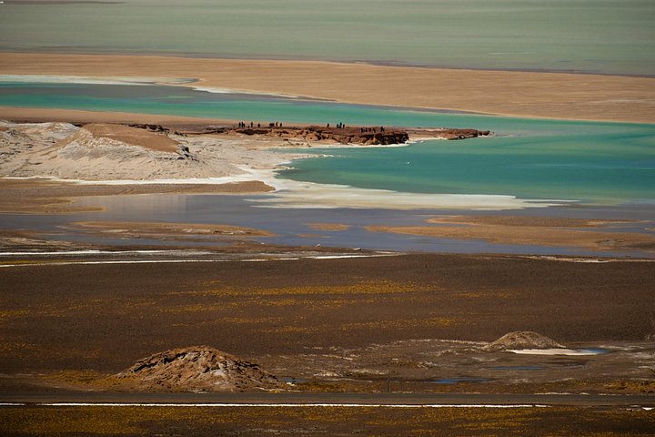Tour de día completo en San Pedro de Atacama visitando Piedras Rojas, Lagunas Altiplánicas y Laguna Chaxa, foto 20 | wizardtrip