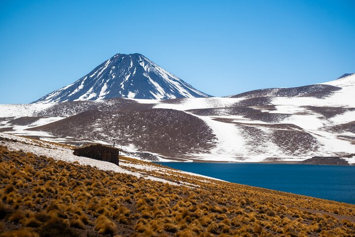 Tour de día completo en San Pedro de Atacama visitando Piedras Rojas, Lagunas Altiplánicas y Laguna Chaxa, foto 27 | wizardtrip