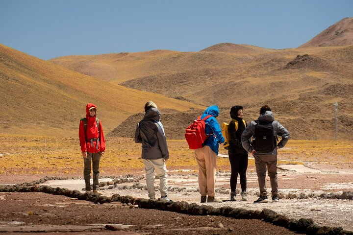 Tour de día completo en San Pedro de Atacama visitando Piedras Rojas, Lagunas Altiplánicas y Laguna Chaxa, foto 34 | wizardtrip