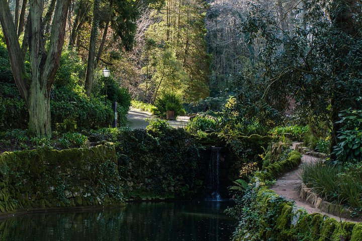 En guidet tur som utforsker de historiske palassene og naturskjønne kystlinjene til Sintra og Cascais fra Lisboa, foto 7 | wizardtrip