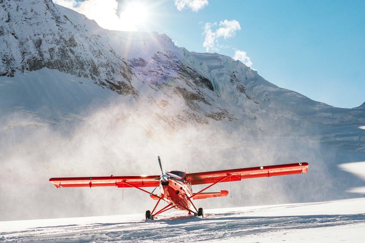 Denali Experience Flightseeing Tour vanuit Talkeetna | wizardtrip