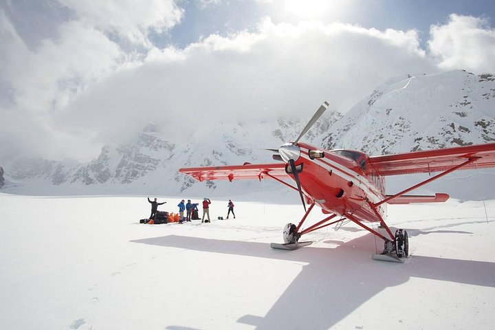 Denali Flyer Flightseeing Tour vanuit Talkeetna | wizardtrip