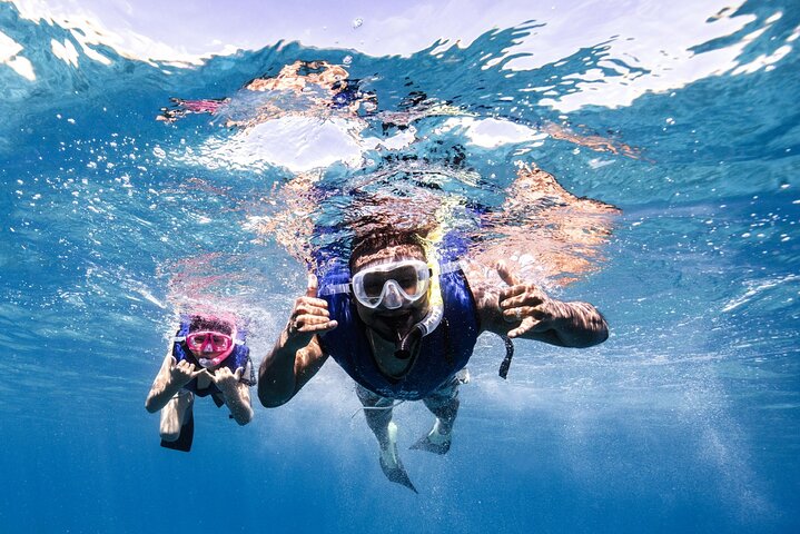 Excursion de plongée avec tuba à Waikiki, Oahu, avec des tortues vertes et des vues panoramiques, photo 6 | wizardtrip