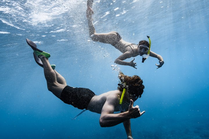 Excursion de plongée avec tuba à Waikiki, Oahu, avec des tortues vertes et des vues panoramiques, photo 15 | wizardtrip
