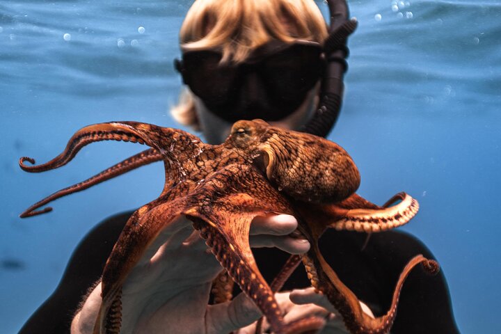 Excursion de plongée avec tuba à Waikiki, Oahu, avec des tortues vertes et des vues panoramiques, photo 20 | wizardtrip